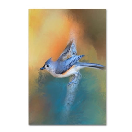 Jai Johnson 'In A Flash Tufted Titmouse' Canvas Art,16x24